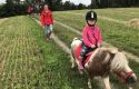 Im Gelaende mit Sunny.jpg