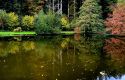 Wittendorfs schöner kleiner See.jpg